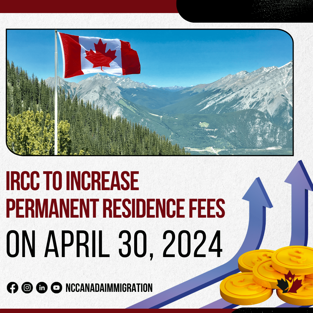 Graphic illustrating the increase in permanent residence fees by IRCC ...