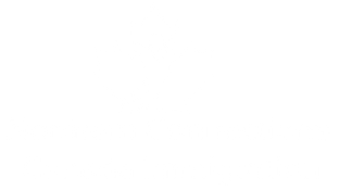 A logo with a maple leaf design graces the footer of our website, showcasing the text "Northern Connections Canada Immigration" beneath it.