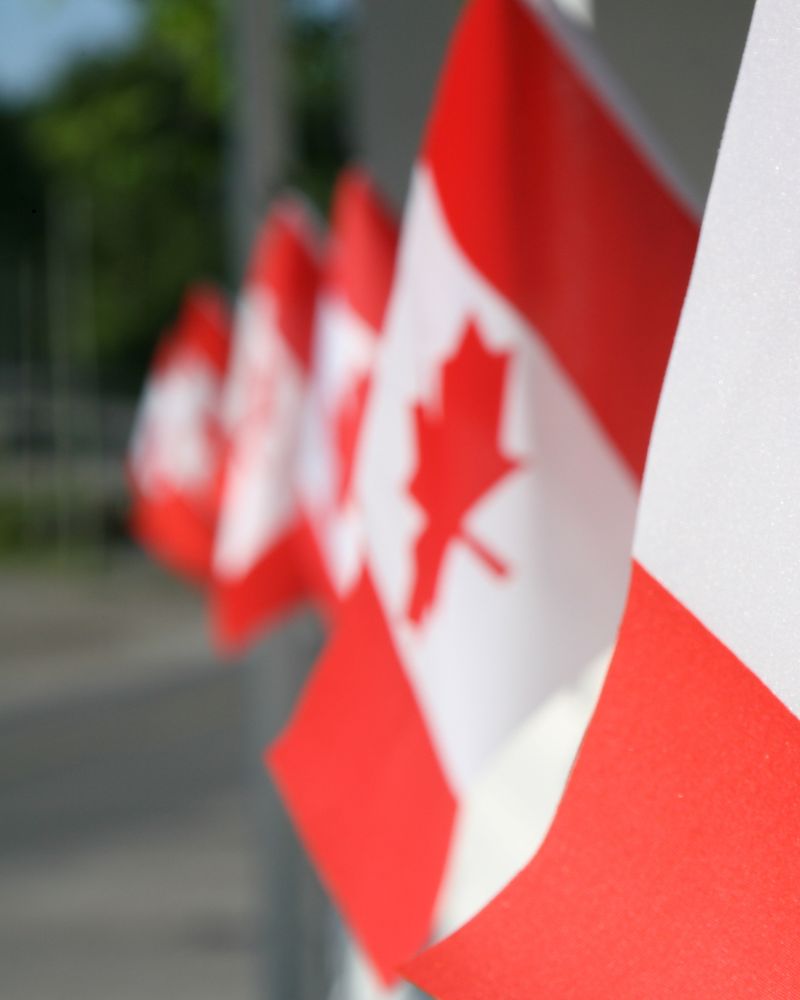 Several red and white Canadian flags with maple leaf symbols are lined up and slightly out of focus, creating a serene backdrop for a SINP celebration event in the blurred outdoor background.