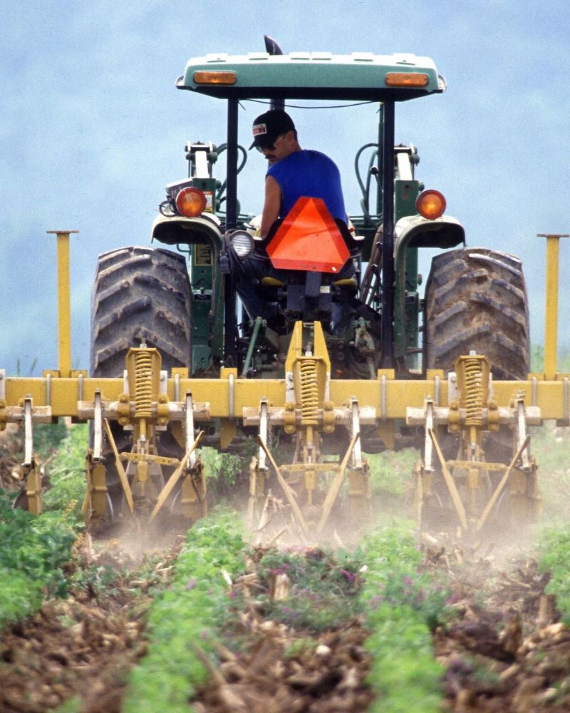 A person piloting a tractor with agri-food equipment attached, working diligently on a fertile field.