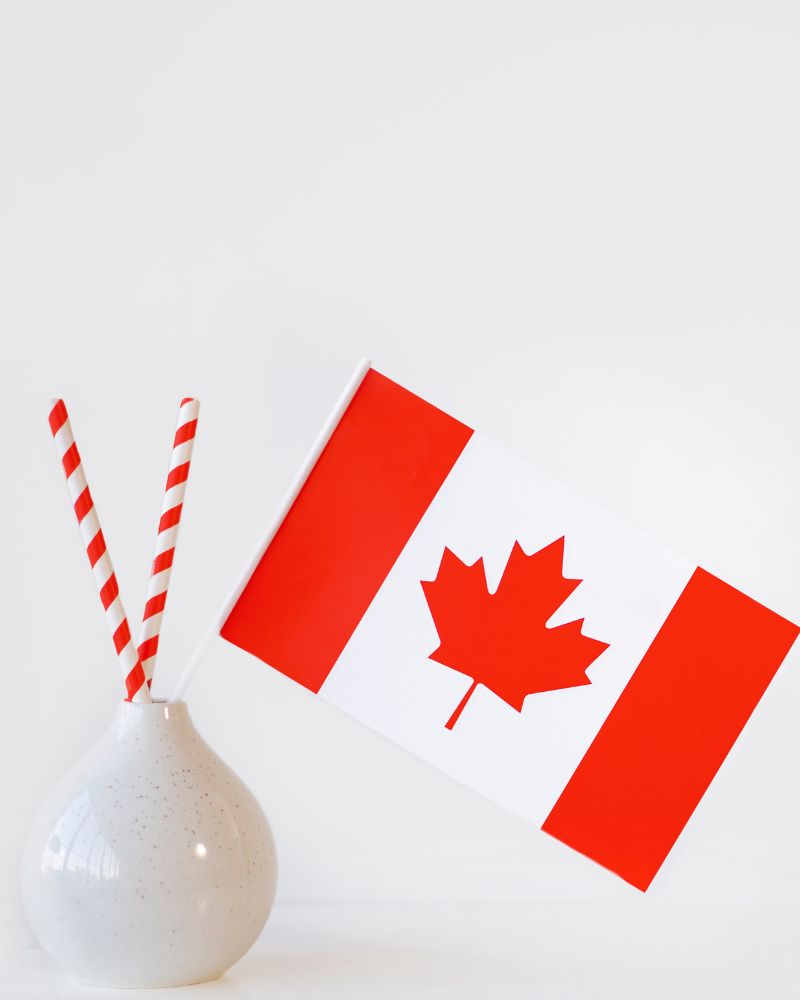 A Canadian flag is proudly displayed next to a white vase, which holds two red and white striped straws against a plain background, symbolizing the essence of Canada.